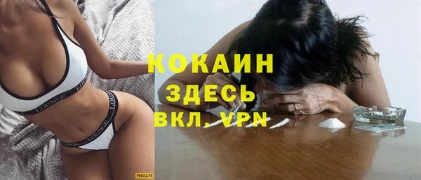 стаф Алексин