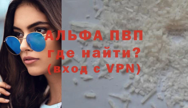 стаф Алексин