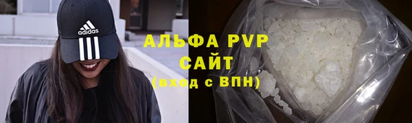 стаф Алексин
