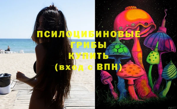 стаф Алексин