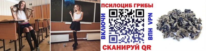 Галлюциногенные грибы MAGIC MUSHROOMS  Петушки 